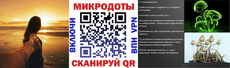 MEGA ССЫЛКА Шимановск Псилоцибиновые грибы GOLDEN TEACHER